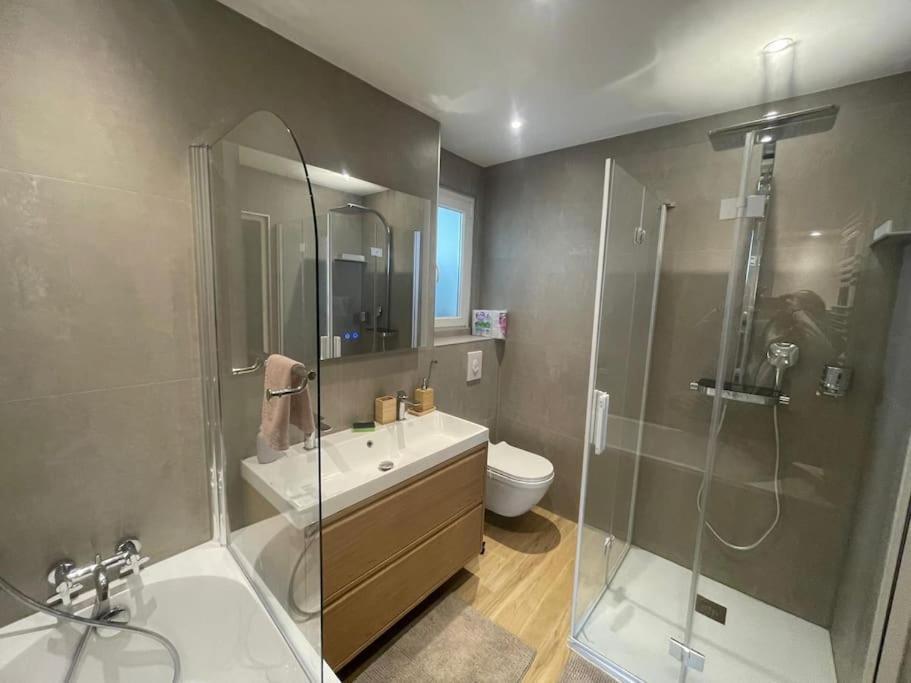 Olivier Du Ciel Odc Apartment Strasbourg